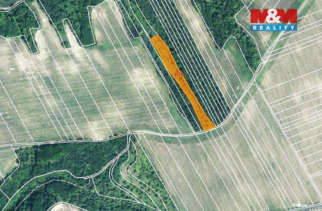 Prodej pozemku o výměře 5686 m2 v katastru obce Čejč. Pozeme