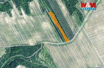 Prodej pozemku o výměře 5686 m2 v katastru obce Čejč. Pozeme