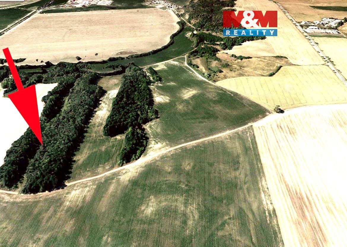 Prodej pozemku o výměře 5686 m2 v katastru obce Čejč. Pozeme