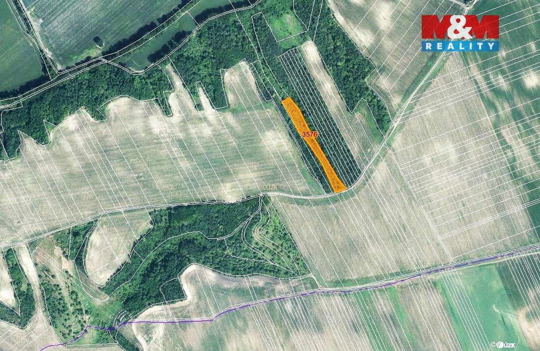 Prodej pozemku o výměře 5686 m2 v katastru obce Čejč. Pozeme