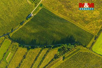Prodej luxusního vinohradu v obci Šardice. Vinohrad se nachá