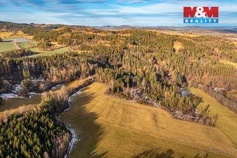 For sale 2 forest plots near the village of Malenice.