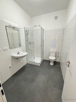 Dobrý den nabízím pronájem bytu 2kk 52m2 Byt je po kompletní