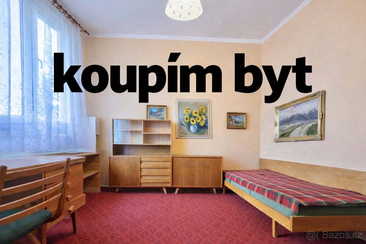 Dobrý den, rád bych koupil menší byt v Rakovníku (1kk, 1+1, 