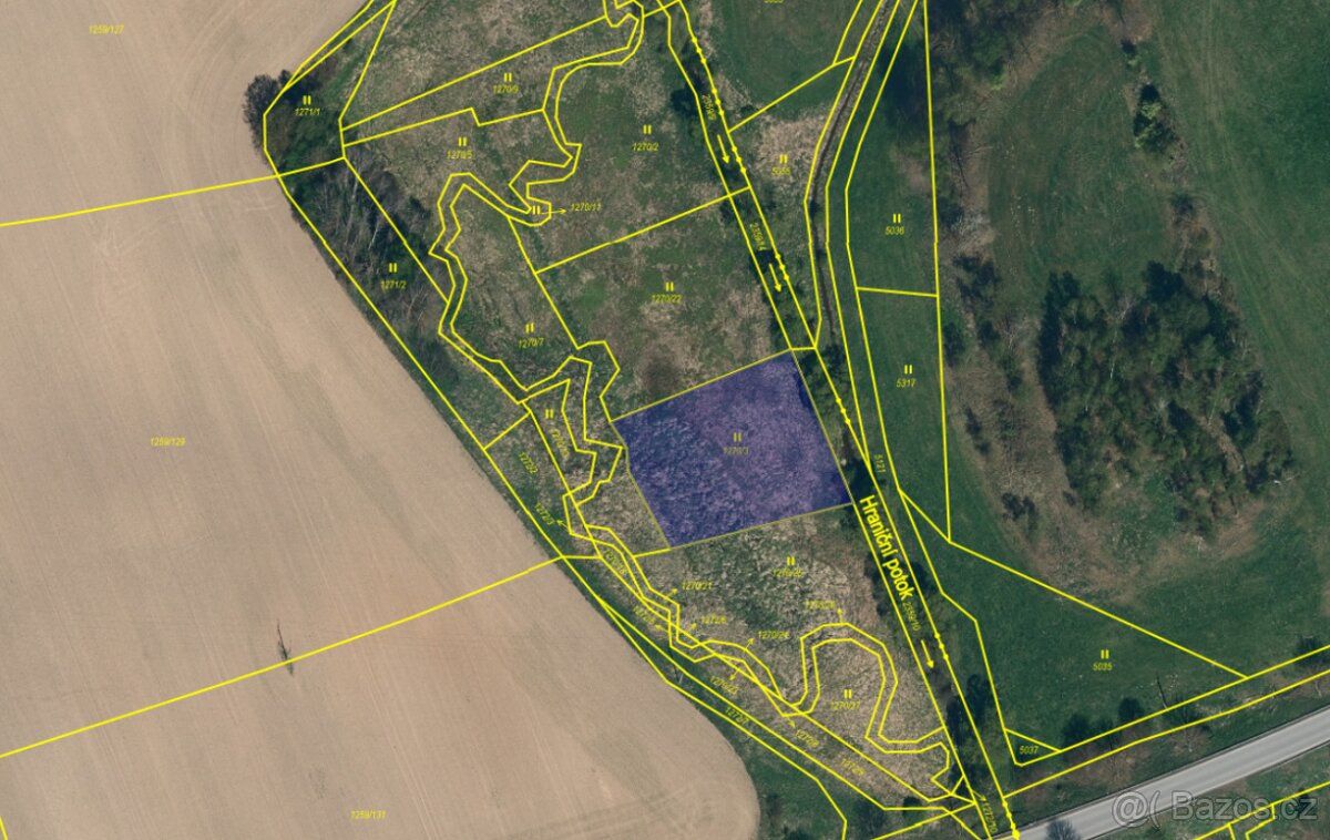 Prodám pozemek v Batelově o celkové výměře 1419m2. Parcelní 