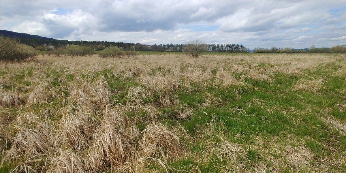 Jde o prodej poloviny pozemku - louka, mokřady, pole (pole o