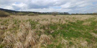 Jde o prodej poloviny pozemku - louka, mokřady, pole (pole o