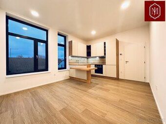 Nabízím k pronájmu byt o velikosti 1+1, 33m2. Byt je v centr