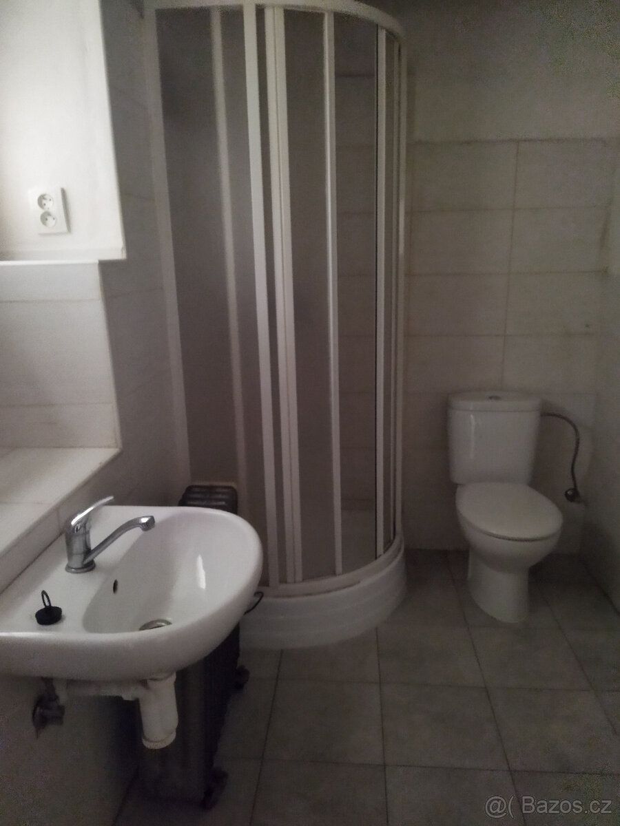 Pronajmu domek 1+1 45m2 s příslušenstvím, bezbariérový. Malá