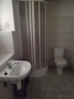 Pronajmu domek 1+1 45m2 s příslušenstvím, bezbariérový. Malá