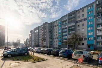 Dobrý den, jsme slušný pracující pár bez dětí a zvířat,v sou