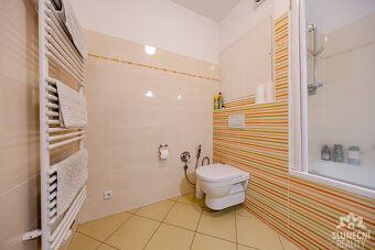 Naše společnost Vám nabízí k pronájmu vybavenou bytovou jedn