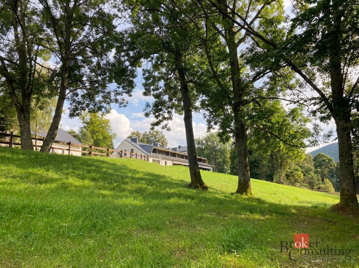 Prodej, pozemky/louka, 282 m2, Hojsova Stráž , Železná Ruda,