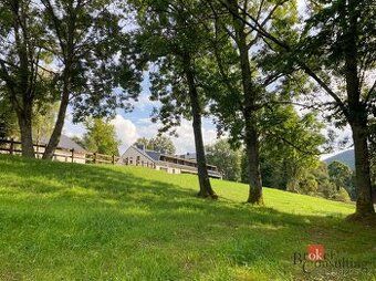 Prodej, pozemky/louka, 282 m2, Hojsova Stráž , Železná Ruda,
