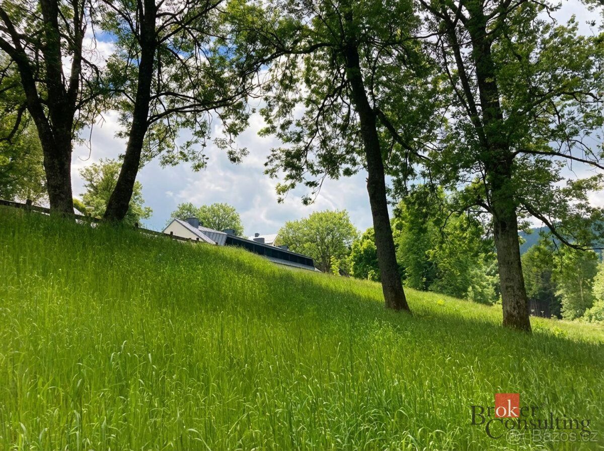 Prodej, pozemky/louka, 282 m2, Hojsova Stráž , Železná Ruda,