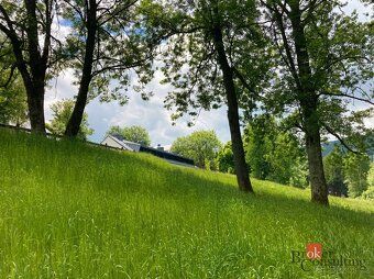 Prodej, pozemky/louka, 282 m2, Hojsova Stráž , Železná Ruda,