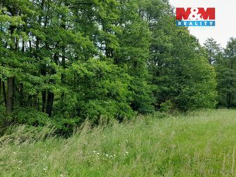 Nabízíme k prodeji rozsáhlý pozemek o výměře 19732 m², umíst