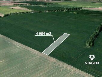 Prodej pozemku o výměře 410 m2 v katastru obce Prušánky. Jed