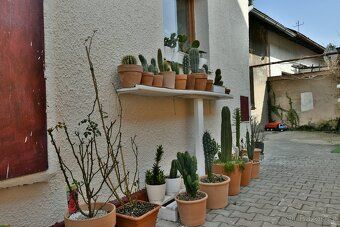 Společnost RE/MAX Future si Vám dovoluje nabídnout k prodeji