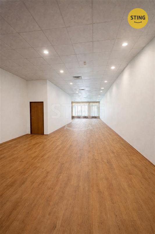 Nabízíme k pronájmu obchodní prostory o velikosti cca 125 m²