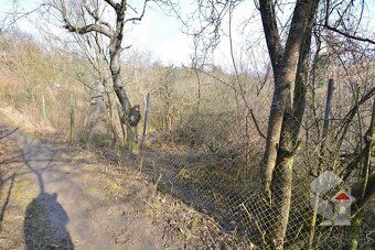 Nabízíme na prodej zahradu o výměře 207 m2, Brno - Medlánky.