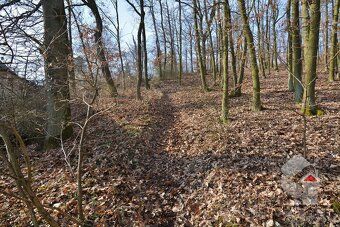 Nabízíme na prodej zahradu o výměře 207 m2, Brno - Medlánky.