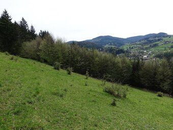 - Velký pozemek s krásnými výhledy, pastvina, glamping, nebo