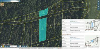 lesní pozemek 1191 m2 (899+292m2)
k.ú. Rankov u Trhových Svi