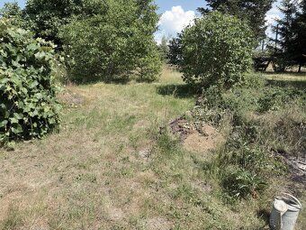 Chałupa z dużą ogrodem na sprzedaż - Odrava, 8 km od Chebu