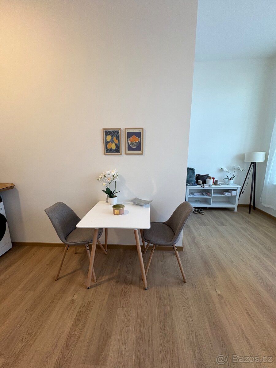 Przytulnie urządzony apartament 2+kk po remoncie w samym
