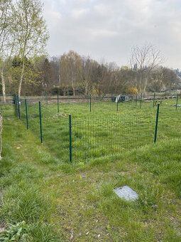 Pronájmu dvě rekreační zahrádky každá o velikosti 145m2 na k