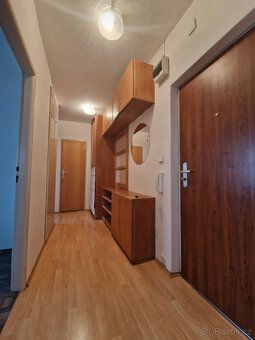 Naše realitní kancelář nabízí možný pronájem světlého bytu o