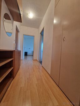 Naše realitní kancelář nabízí možný pronájem světlého bytu o