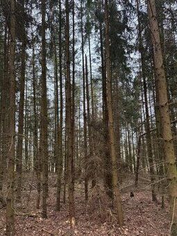 Okreszenie inwestycyjne - działka budowlana 3 191 m2