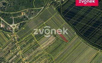 Oferuję na sprzedaż 2 działki o łącznej powierzchni 3924