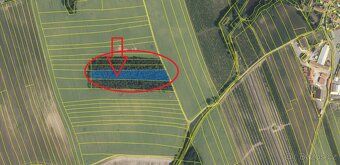 Sprzedam działkę w granicach katastralnych Kojice. Chodzi