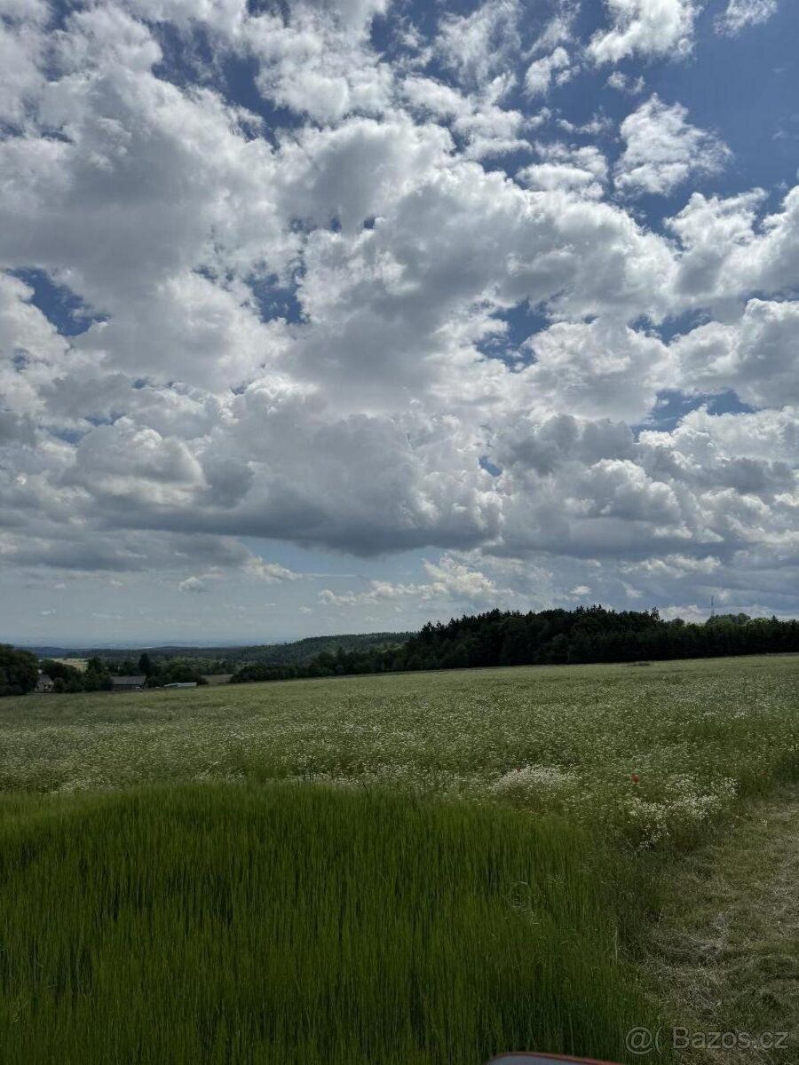 Prodám pozemek v k.ú. Labutice. Jedná se o: - p.č. 154 veden