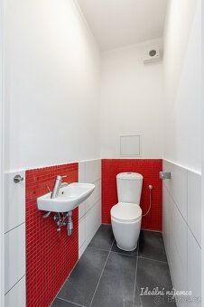 Oferujemy na długoterminowy podnajem przestronne i jasne