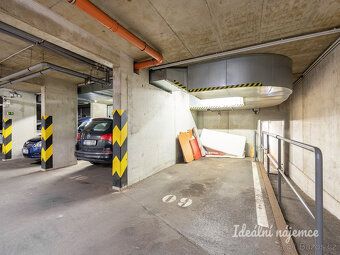 Oferujemy na długoterminowy podnajem przestronne i jasne