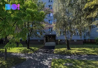 Oferujemy do wynajęcia spółdzielcze mieszkanie o