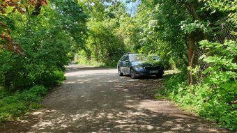 Плоска родюча садова ділянка площею 300 м² з новою