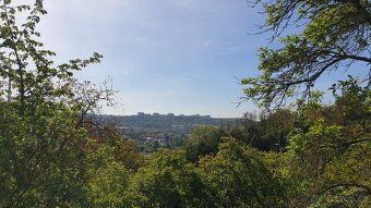 Wynajmę część płaskiej żyznej słonecznej ogrodu ok. 200 m²