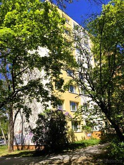 Hledáte byt, který si můžete upravit přesně podle svých před