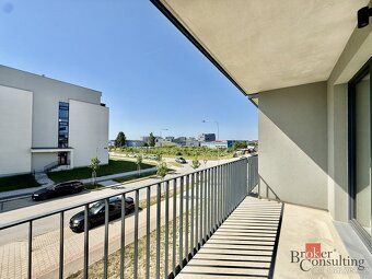 Pronájem, byty/1+kk, 34 m2, Železná 3068/14, Jižní Předměstí