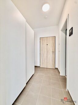 Pronájem, byty/1+kk, 34 m2, Železná 3068/14, Jižní Předměstí