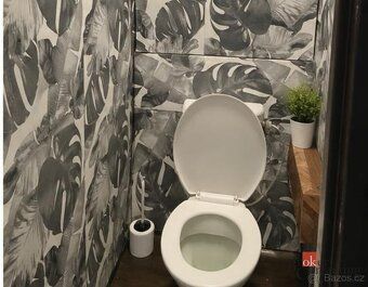 Převod dr. podílu, byty/1+kk, 33 m2, Výškovická 508/178, 700