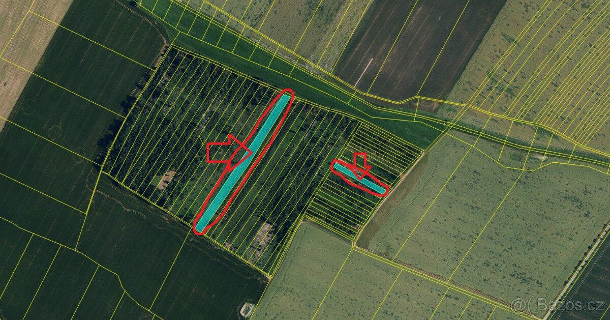 I offer for sale forest plots in cadastral area Litohor