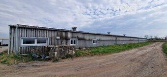 Пропонуємо орендувати складську будівлю площею 745 м², на