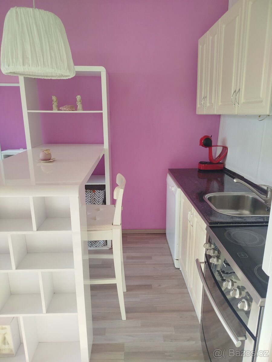 Nabízím k pronájmu útulný a světlý byt 1+kk o velikosti cca 