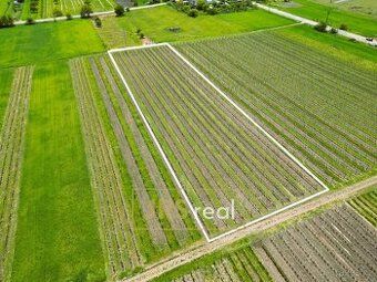 ПРОДАТЬ ВИННИЦЮ - БЖЕЗО У МИКУЛОВА | 4 351 м² Пропонуємо до